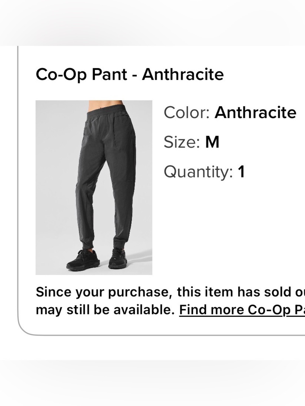 ALO Yoga Co-Op Pant in Anthracite (Dark Gray)
